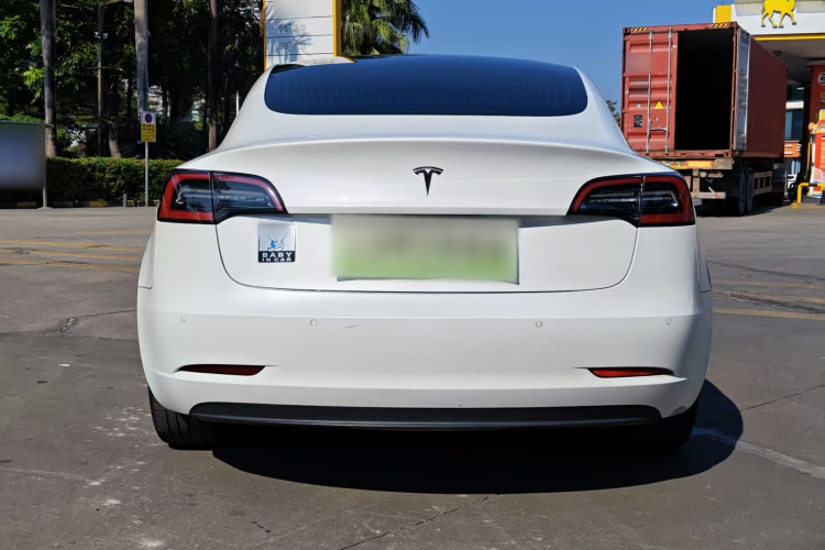 特斯拉 Model 3(进口) 2019款 标准续航后驱升级版(60度)车身外观6006