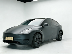 特斯拉 Model Y 2024款 后轮驱动版