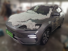 比亚迪 宋PLUS新能源 2024款 荣耀版 DM-i 71km 豪华型