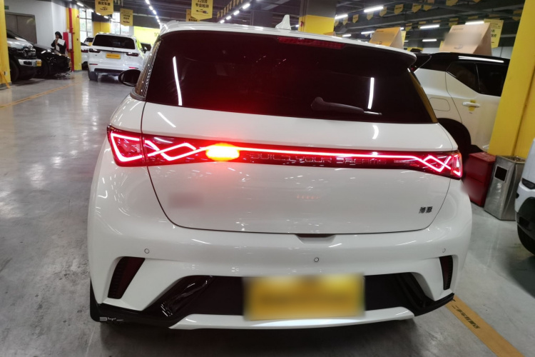 比亚迪 海豚 2024款 荣耀版 420km 时尚版车身外观6