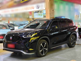 丰田 皇冠陆放 2021款 2.5L HEV四驱豪华版