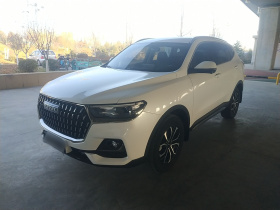 哈弗H6 2023款 国潮版 1.5T 自动都市版