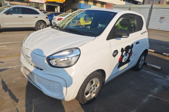 荣威 科莱威CLEVER 2021款 302km全能版