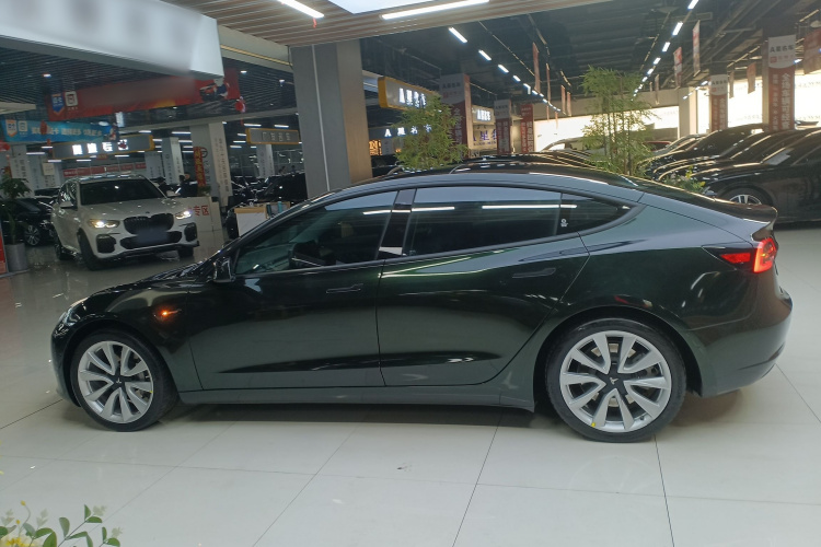 特斯拉 Model 3 2019款 标准续航后驱升级版车身外观6003