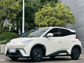 比亚迪 海鸥 2024款 荣耀版 305km 活力版