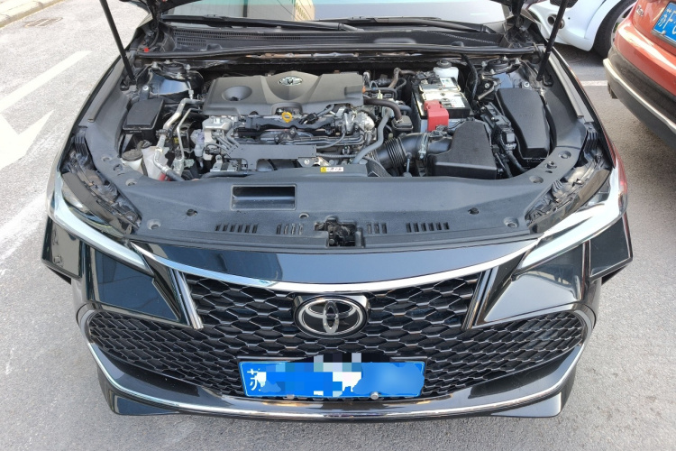 丰田 亚洲龙 2022款 2.5L 豪华版机舱底盘24