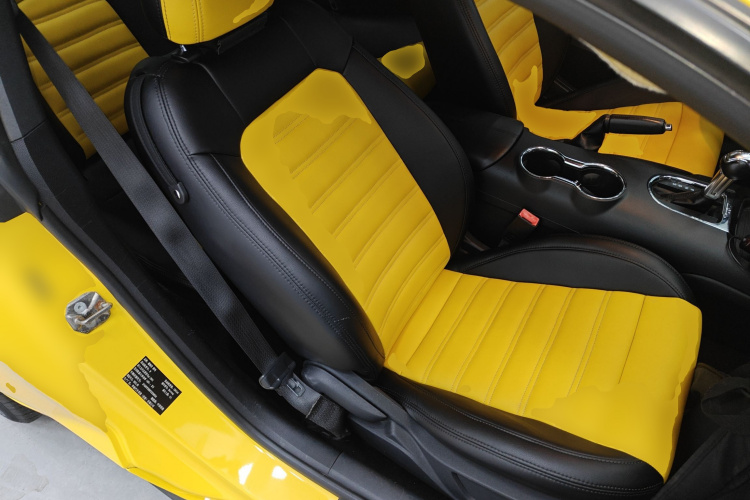 福特Mustang（平行进口） 局部细节41