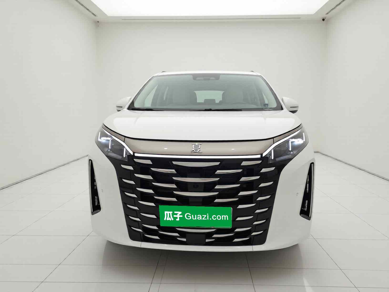 比亚迪 夏 2025款 DM-i 1.5T 180km 超越型(1)