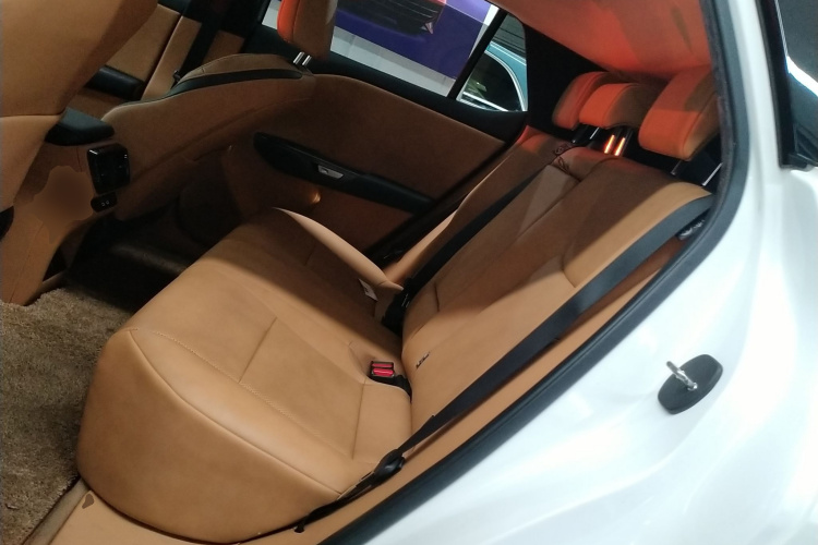 雷克萨斯RZ 2023款 450e 四驱纵享版中控内饰21