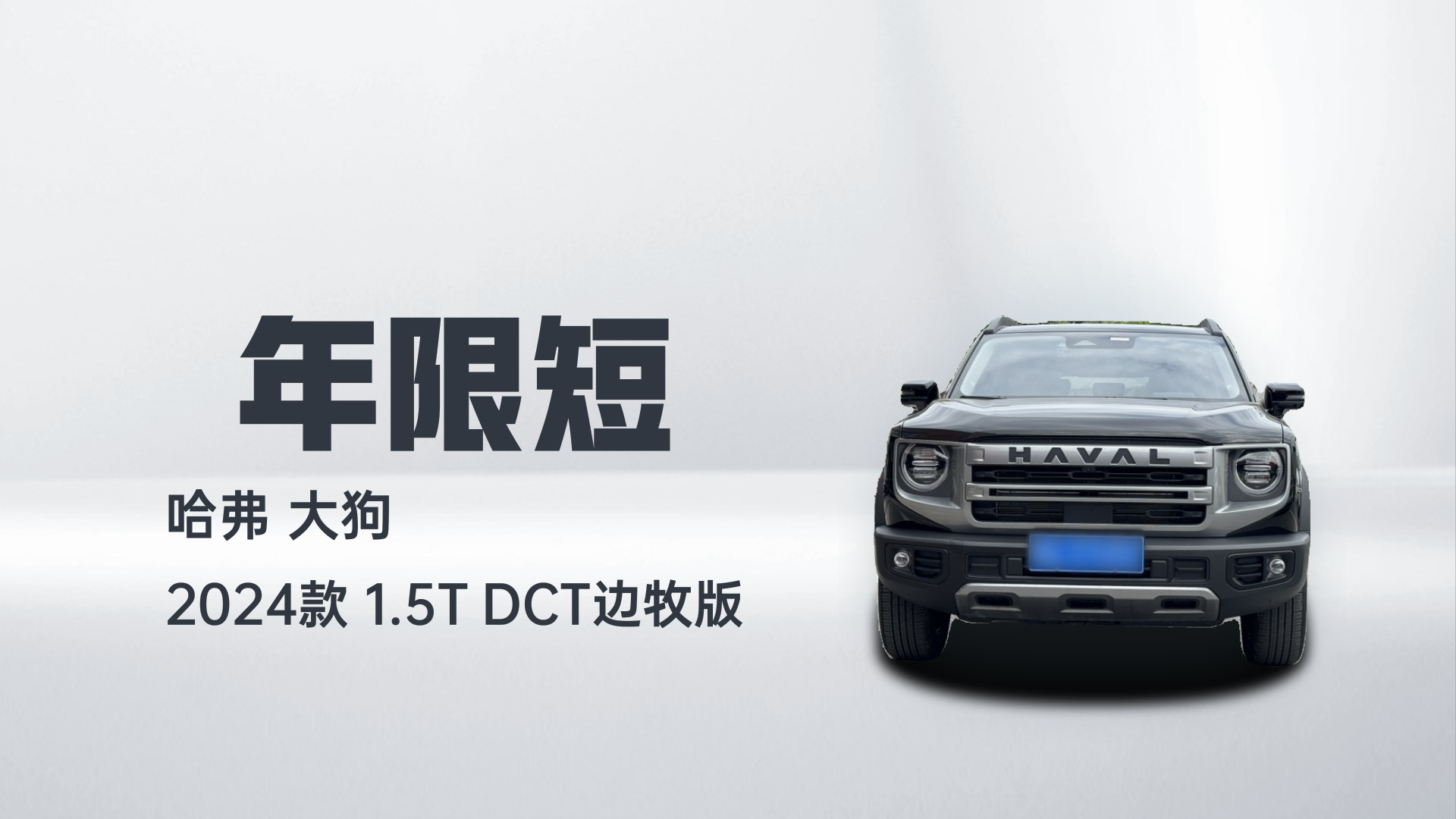 哈弗大狗 2024款 1.5T DCT边牧版解读1