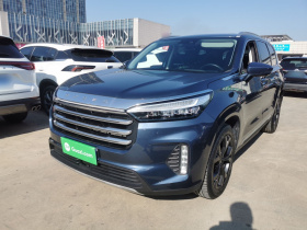 星途揽月 2021款 390T 两驱星耀版