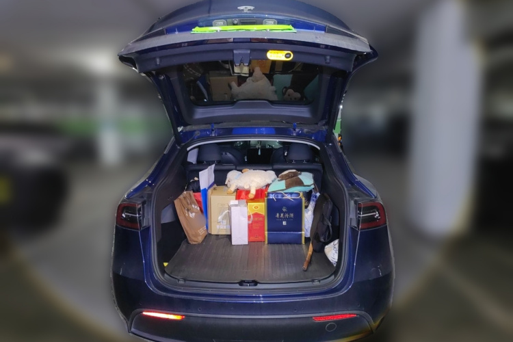 特斯拉 Model Y 2023款 长续航全轮驱动版局部细节23