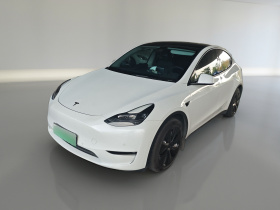 特斯拉 Model Y 2021款 标准续航后驱版