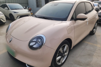 欧拉好猫 2023款 401km标准续航 尊荣型 磷酸铁锂