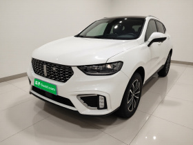魏牌 VV5 2021款 1.5T 两驱智先锋