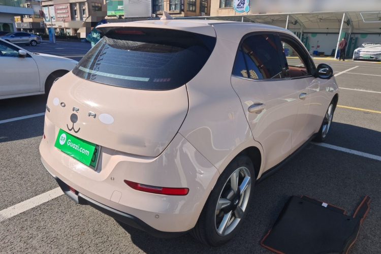 欧拉好猫 2022款 400km标准续航 尊贵型 磷酸铁锂车身外观7