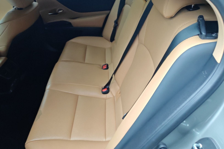 雷克萨斯ES 2021款 260 卓越版中控内饰7004