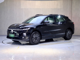 岚图汽车 岚图知音 2024款 长续航超充版