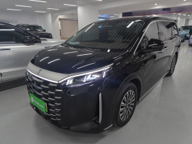 比亚迪 夏 2025款 DM-i 1.5T 100km 超越型