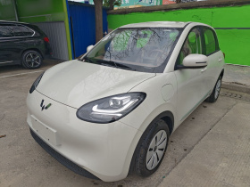 五菱汽车 五菱缤果 2025款 203km 轻享款