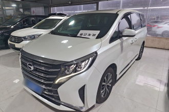 广汽传祺 传祺M8 2023款 领秀系列 390T 尊享版