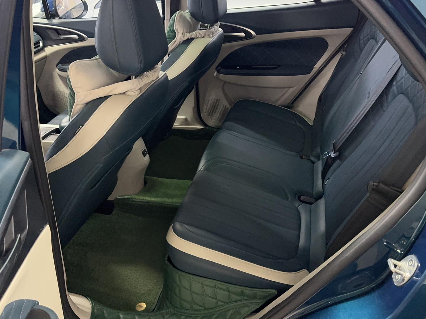 欧拉好猫 2021款 400km标准续航 维纳斯版 三元锂