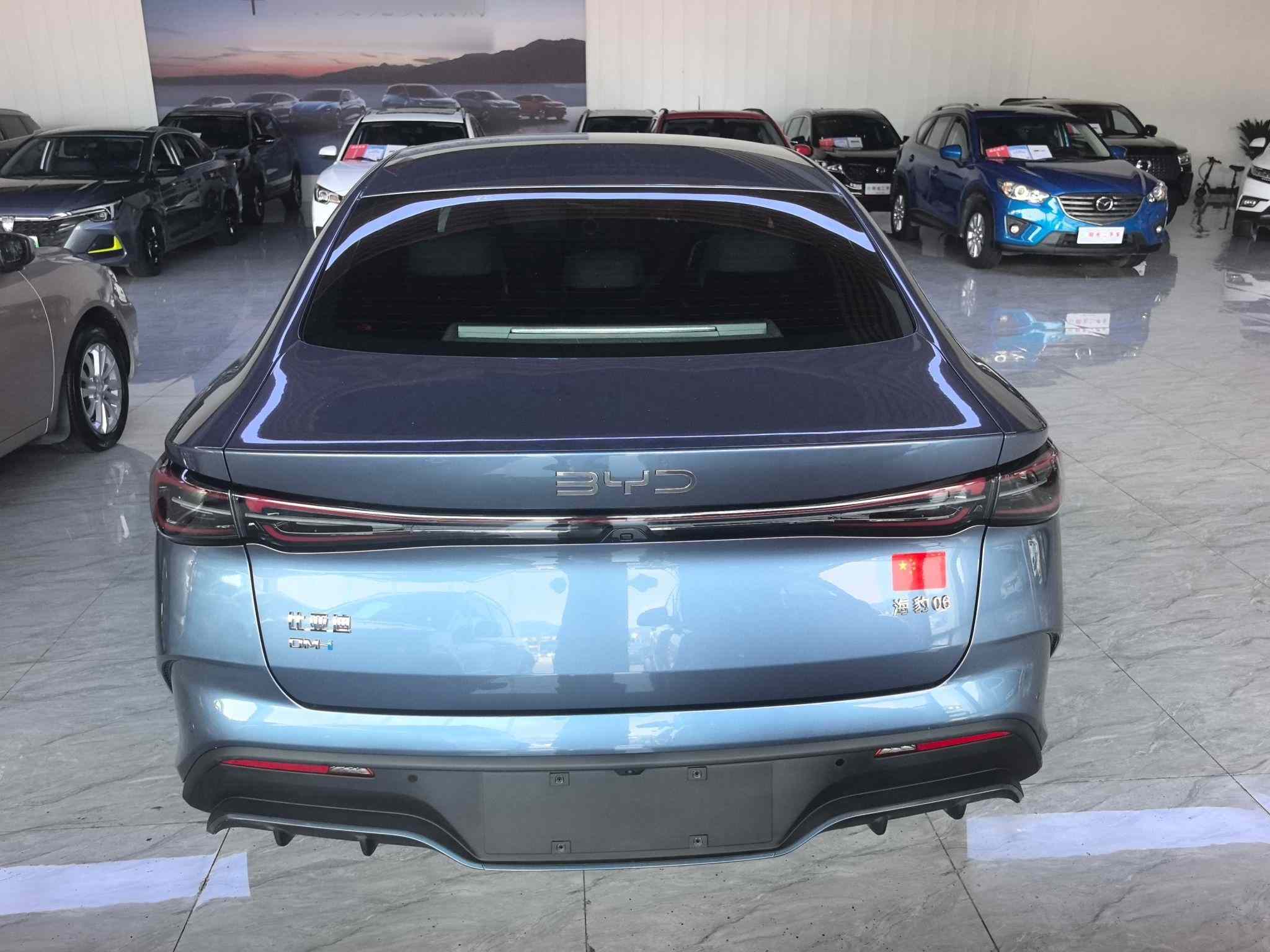 比亚迪 海豹06新能源 2024款 DM-i 80KM豪华型(4)