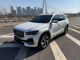 吉利汽车 星越L 2024款 2.0TD 高功自动两驱云起版