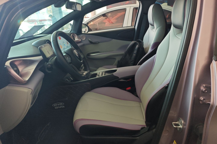 比亚迪 海豚 2021款 405km 时尚版局部细节19