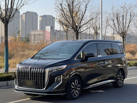 红旗HQ9 2023款 2.0T 智联旗韵版