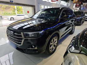 哈弗H6 2021款 国潮版 1.5T 自动冠军版