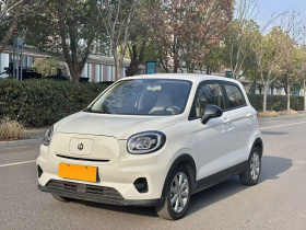 零跑汽车 零跑T03 2022款 炫晶版