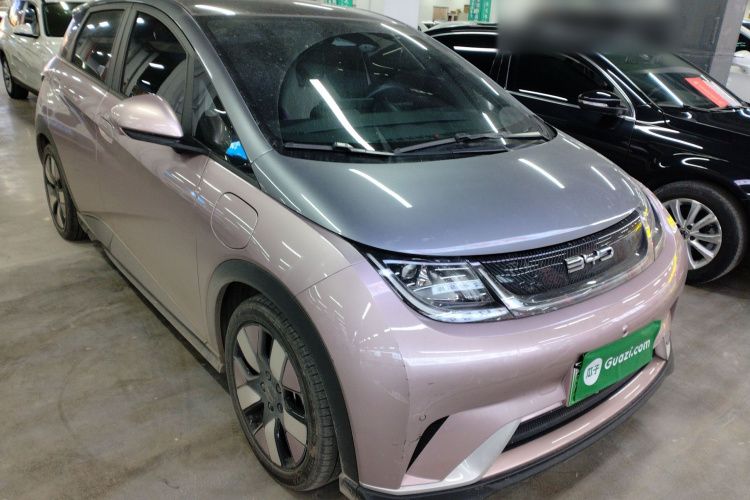 比亚迪 海豚 2023款 401km 骑士版车身外观3