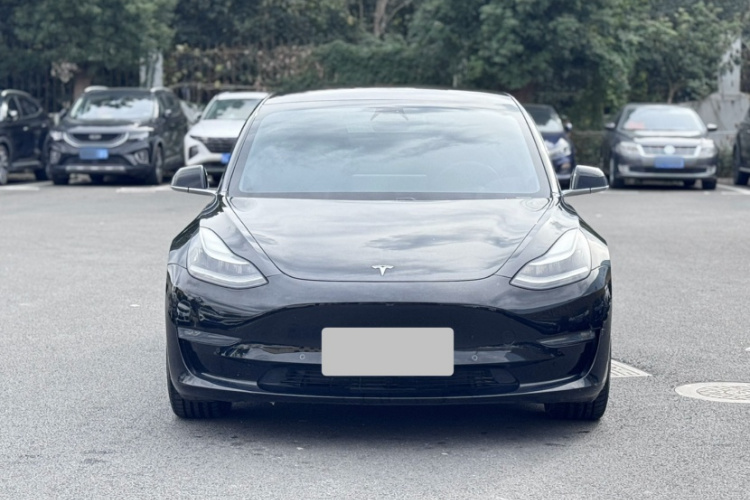 特斯拉 Model 3(进口) 2019款 长续航全轮驱动版车身外观6004