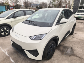 比亚迪 海鸥 2025款 智驾版 305km 活力版