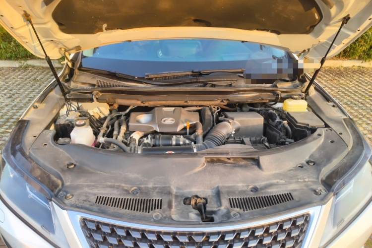 雷克萨斯RX 2020款 300 两驱精英版 国VI局部细节24