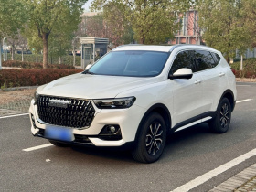 哈弗H6 2023款 国潮版 1.5T 自动都市版