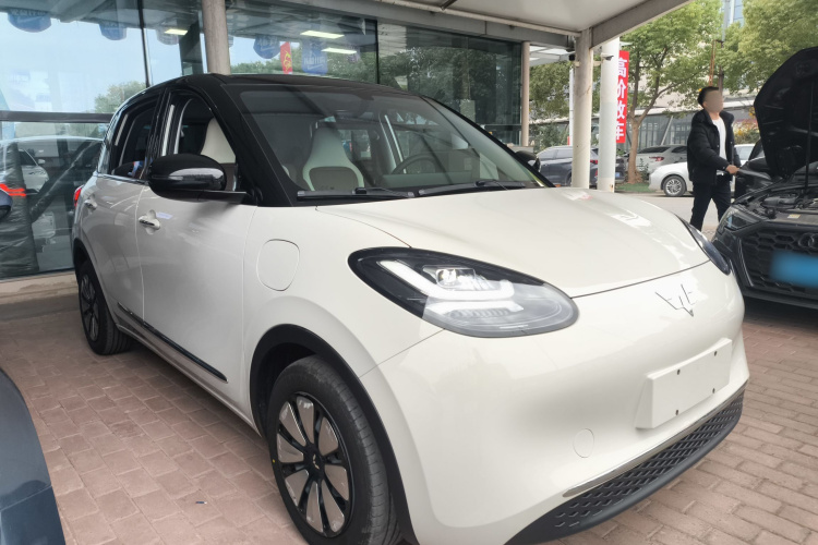 五菱汽车 五菱缤果 2024款 333km 灵犀互联款车身外观3