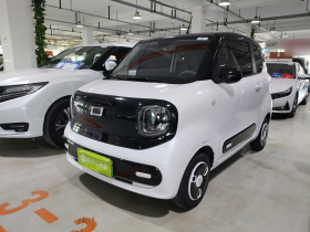 奔腾小马 2025款 222km 闪电马