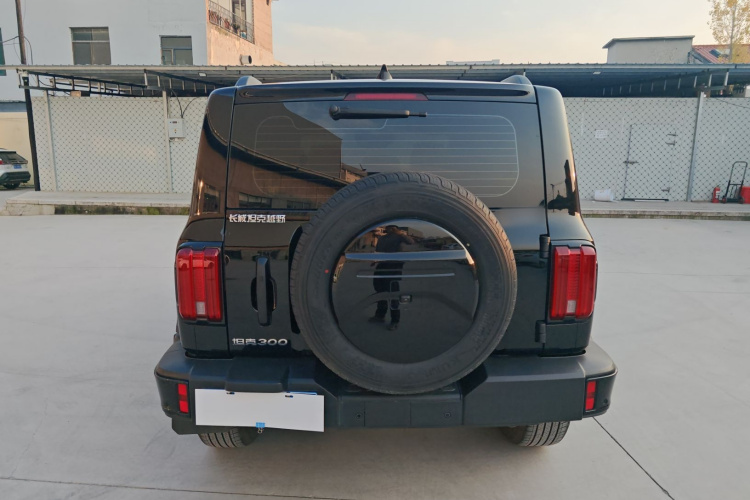 坦克300 2024款 2.0T 征服者车身外观6004