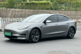 特斯拉 Model 3 2020款 改款 标准续航后驱升级版