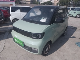 五菱汽车 宏光MINIEV 2021款 马卡龙时尚款 磷酸铁锂