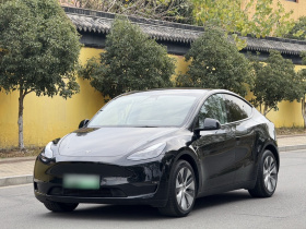 特斯拉 Model Y 2021款 标准续航后驱版