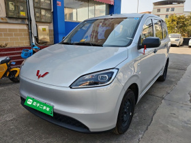 五菱汽车 五菱宏光新能源 2024款 纯电版 300KM 实用型