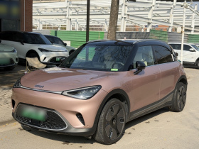 smart精灵#1 2024款 Premium版