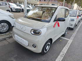 五菱汽车 宏光MINIEV 2024款 第三代 215km 青春版