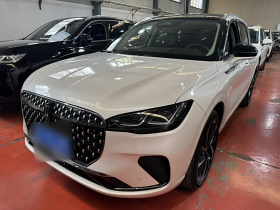 林肯 冒险家 2024款 2.0T 四驱尊耀版