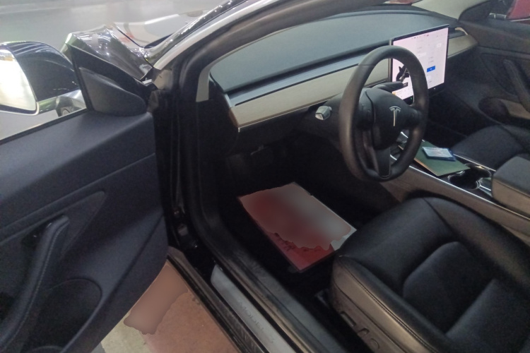 特斯拉 Model 3(进口) 2019款 长续航全轮驱动版中控内饰7003