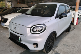 零跑汽车 零跑T03 2023款 310轻享版