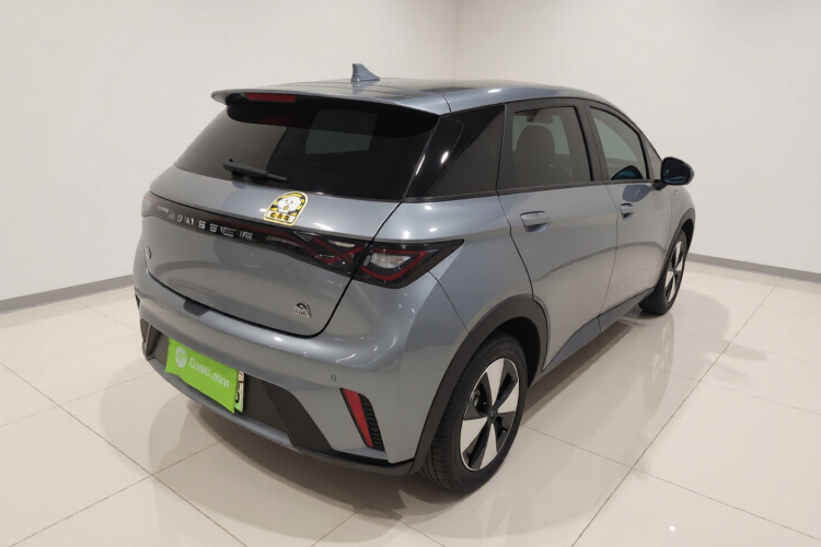 比亚迪 海豚 2023款 420km 自由版车身外观7